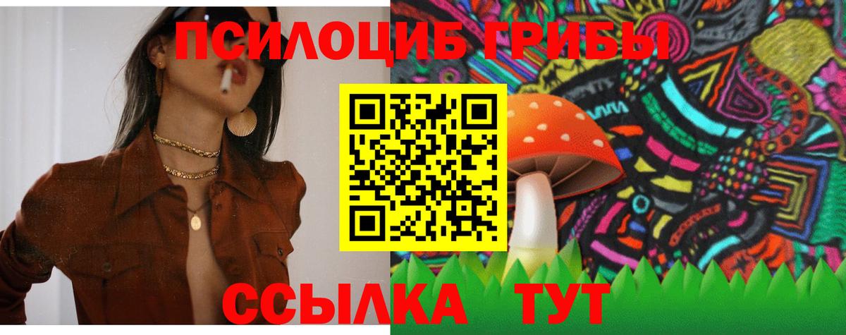 Псилоцибиновые грибы мицелий  Вход с VPN  Мурино 