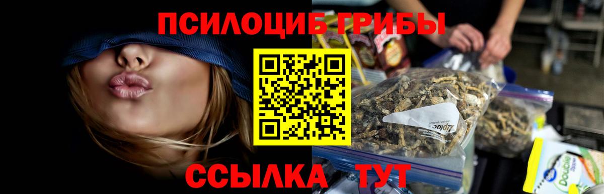 Псилоцибиновые грибы мицелий Мурино